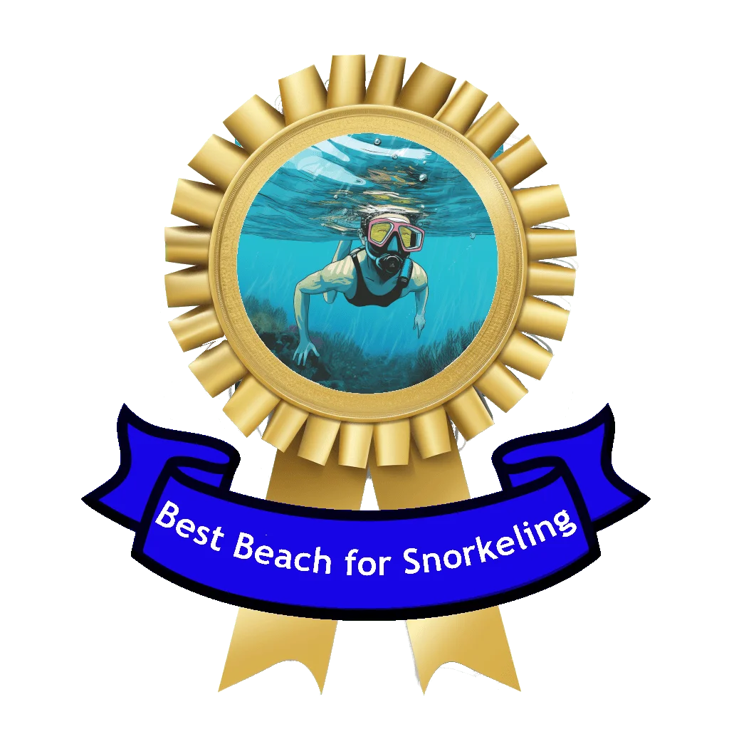 best beach for snorkeling ribbon