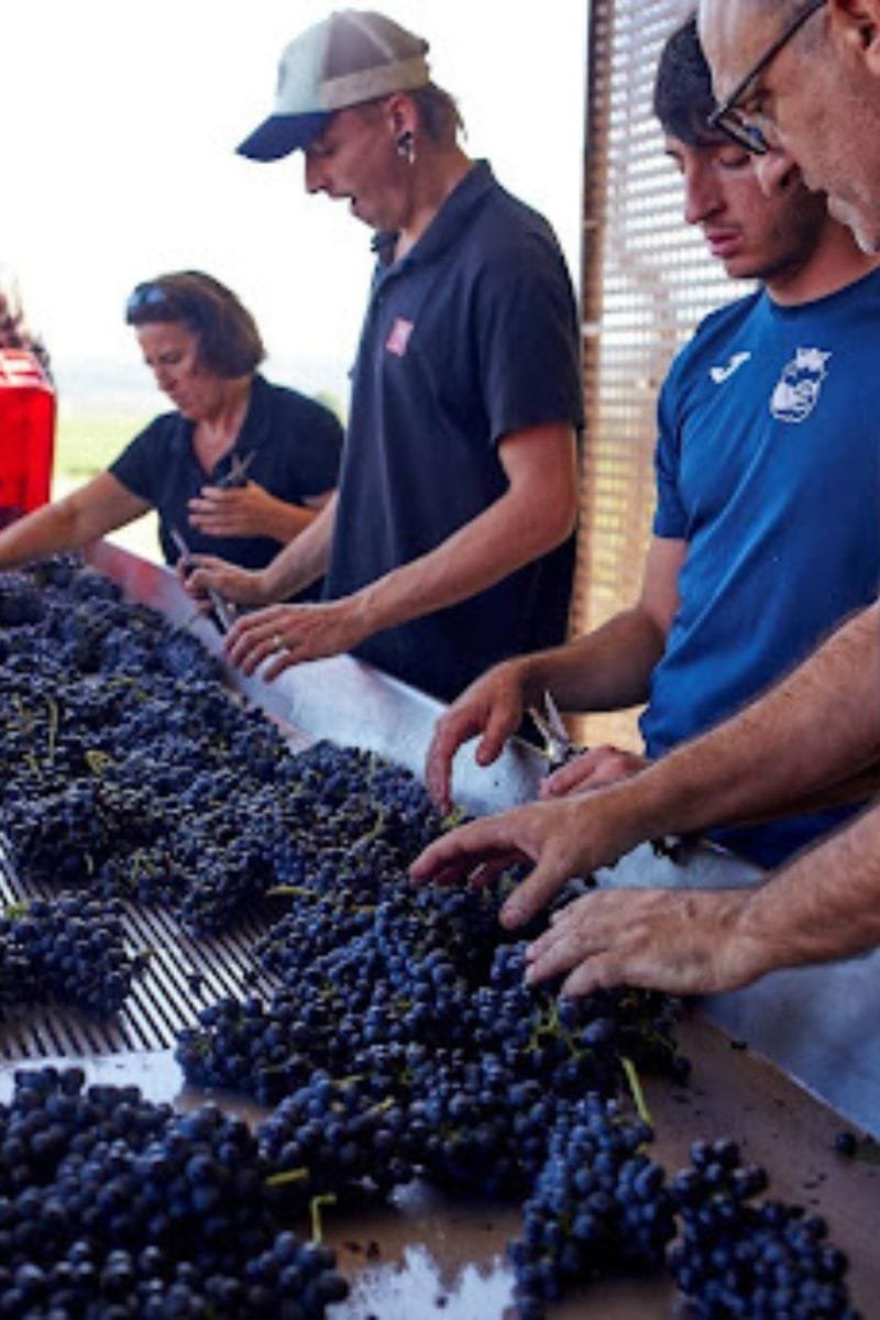 Bodega Miquel Oliver
