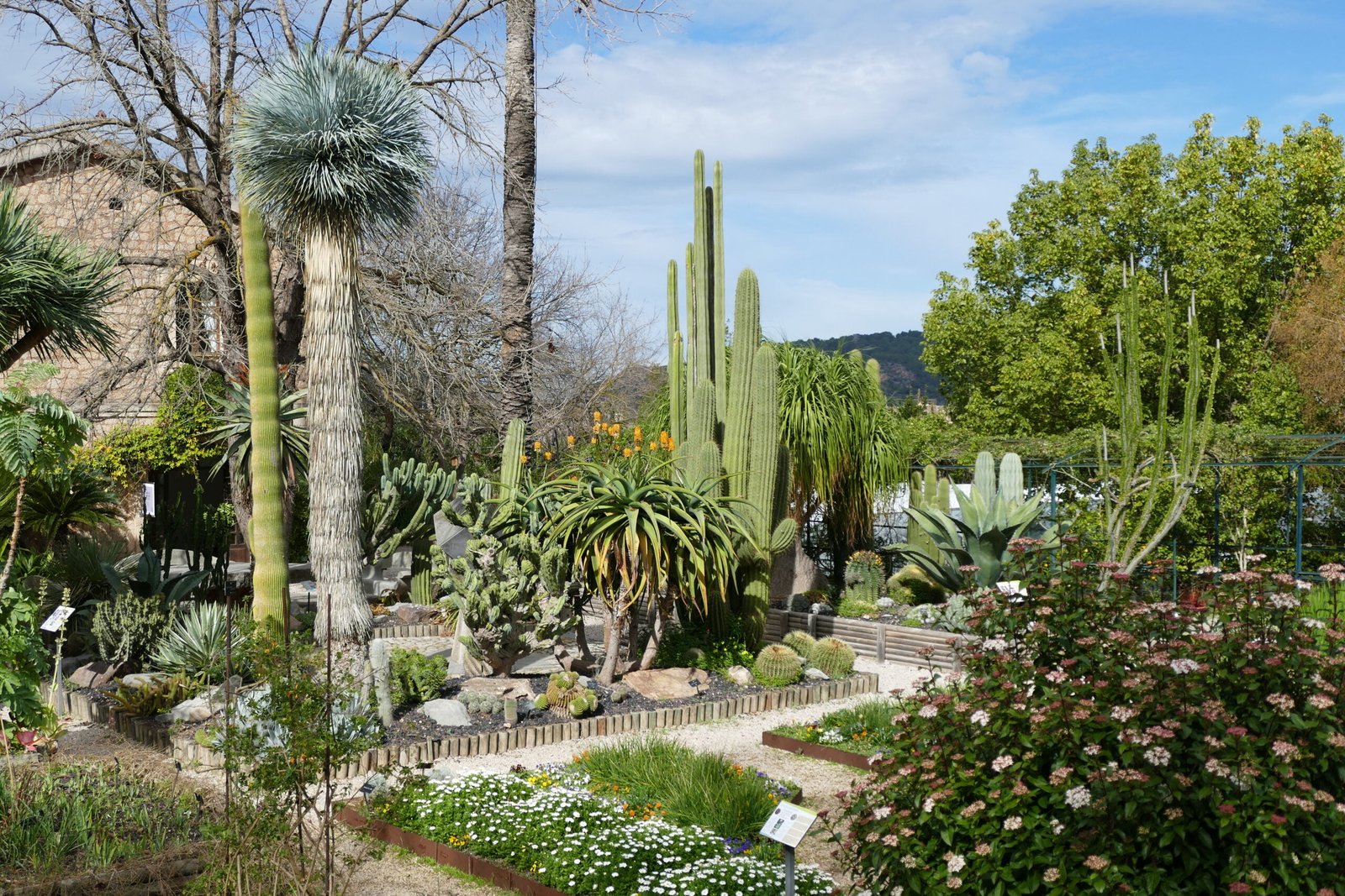 Soller botanical gardens