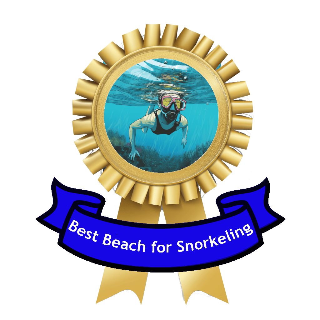 best beach for snorkeling ribbon