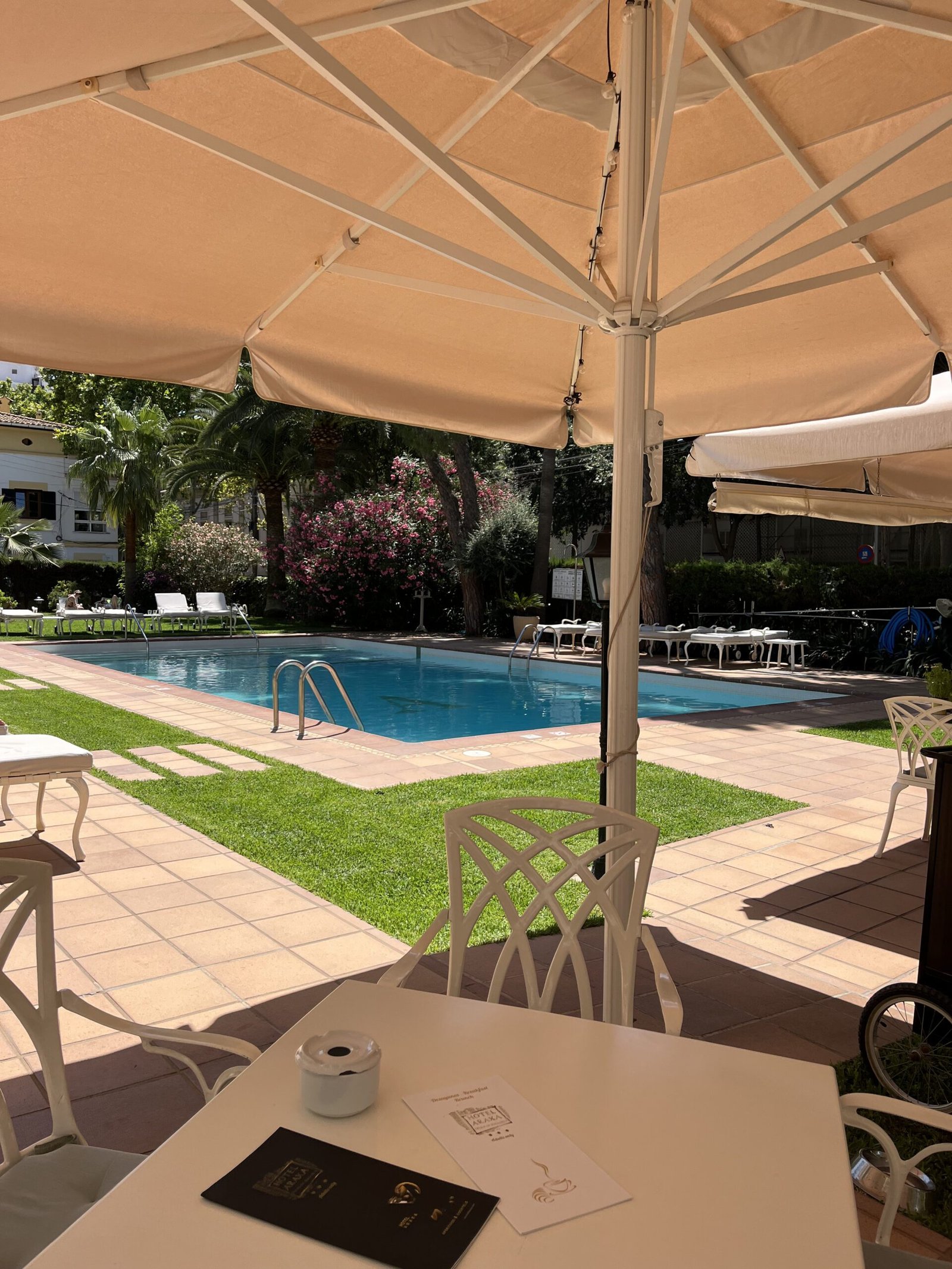 hotel araxa pool