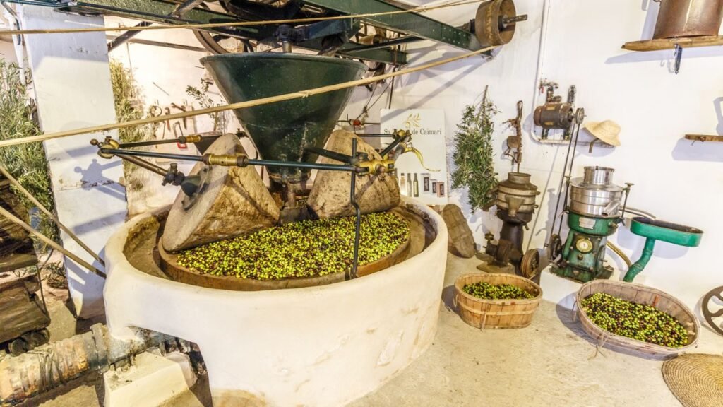 ID <a href="https://www.dreamstime.com/traditional-olive-mill-caimari-mallorca-old-oil-displayed-small-museum-centre-mallorcan-mountain-village-two-big-image164270171">164270171</a> | <a href="https://www.dreamstime.com/photos-images/mallorca.html">Mallorca</a> ©
<a href="https://www.dreamstime.com/mosaic23_info">Gerd Kohlmus</a> | <a href="https://www.dreamstime.com/stock-photos">Dreamstime.com</a>