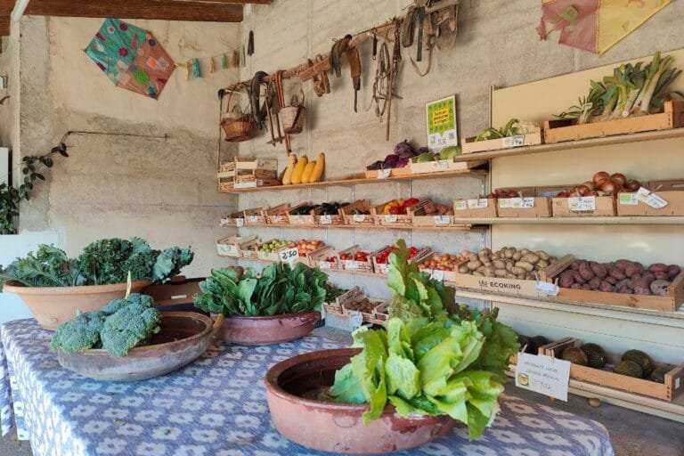 S’Hort d’en Guiem